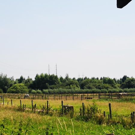 Ruime Romantische Blokhut Zwaanshoek Exterior photo